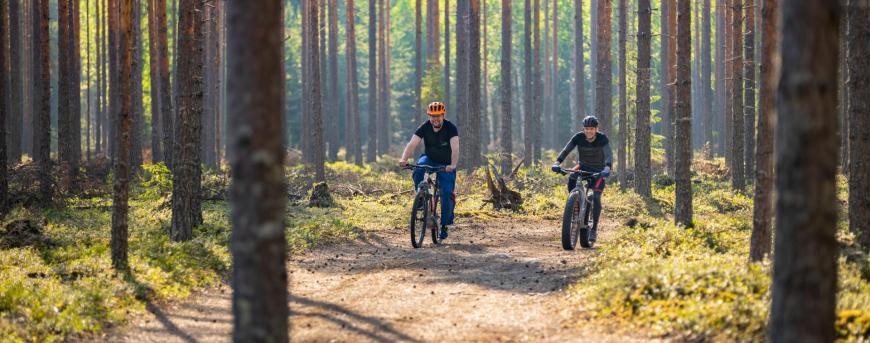 kaksi maastopyöräilijää metsäpolulla