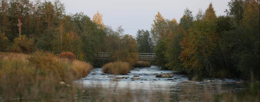 Vääräjoki syysvärissä.