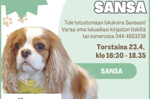 Kuva pienestä koirasta.