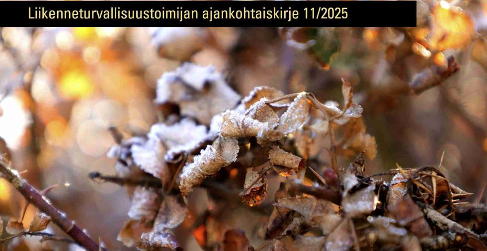 Liiikenneturvallisuustoimijan ajankohtaiskirje 11/2025