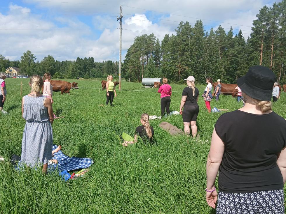 Lehmäjooga