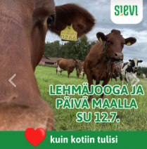 mainosteksti kuvana